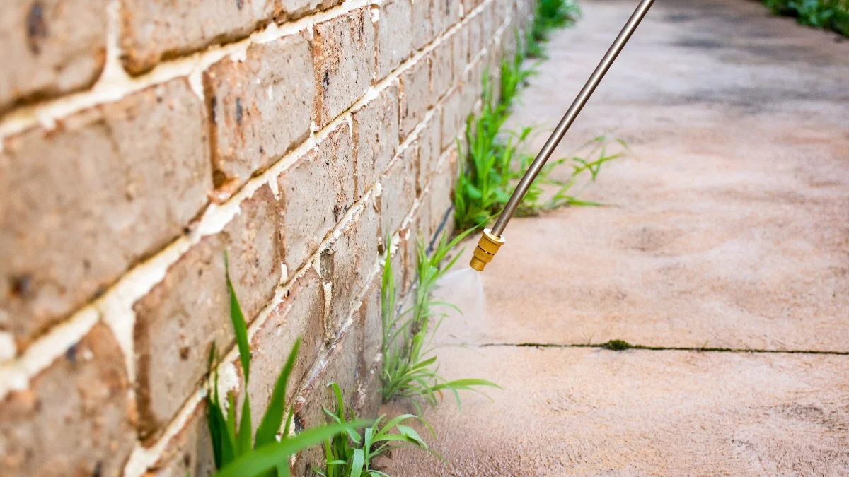 Properly designed irrigation system running at a Des Moines, IA residence.