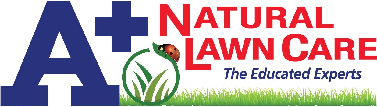 A+ Lawn & Landscape Organic Lawn Care Logo