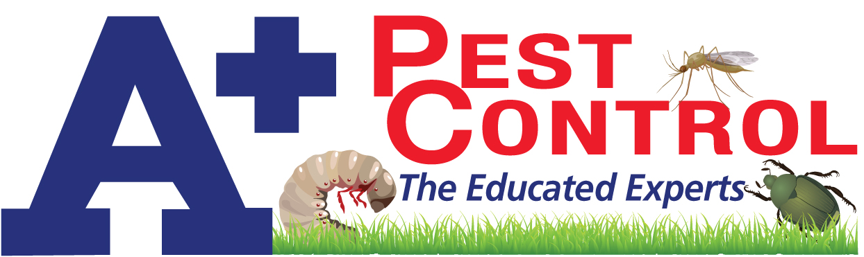 A+ Lawn & Landscape Pest Control Logo